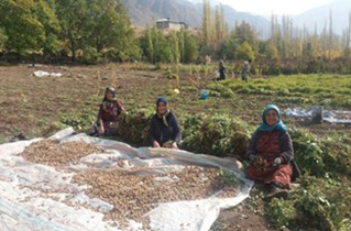 صندوق‌های اعتبارات خرد زنان روستایی در شهرضا راه‌اندازی می‌شود