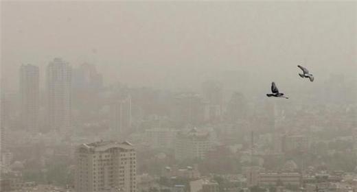 ضرورت اجرای پیوست های زیست محیطی تو سط صنایع