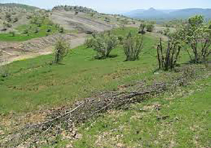 اخذسند ۳۰ هزار هکتار از اراضی ملی لرستان