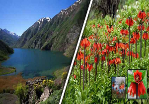 وجود ۴۵۰ اثر تاریخی و گردشگری در دورود