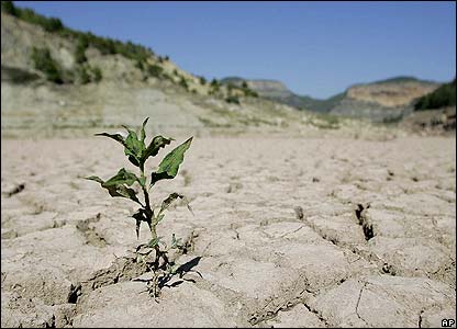 خسارت سنگین کم آبی در کمین کشاورزی خوزستان