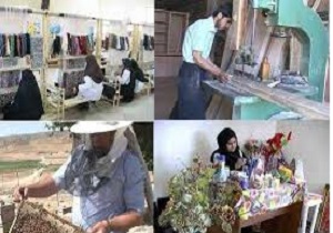 اجرای طرح الگوی توسعه جدید مشاغل خانگی  در 8 استان کشور