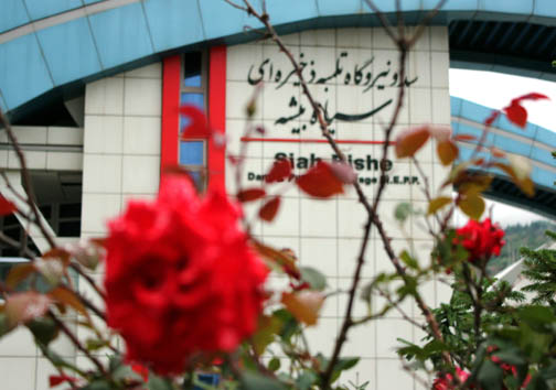 تولید بیش از ۱۰ درصد برق کشور در ۳ نیروگاه