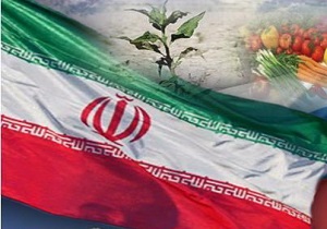 ///نیم نگاهی به توفیقات ایران در حوزه زراعت و باغداری/افزایش ضریب تولیدِ محصولات استراتژیک