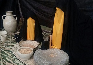 برپایی نمایشگاه یاس کبود در سراوان