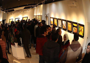 نمایشگاه خیریه عکس "آرزوهای گمشده"در بجنورد تمدید شد