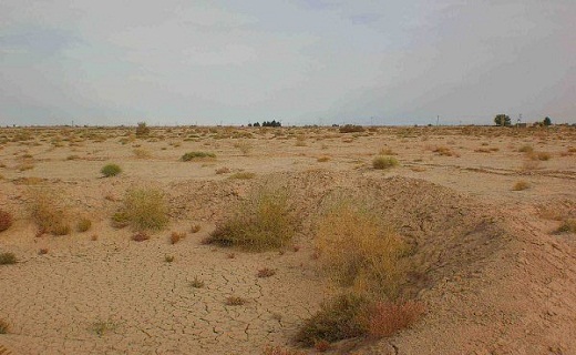سمنان از اولين استان های پيشگام در زمينه جلوگیری از بیابان زایی است
