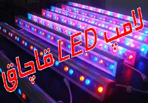 کشف ۵ هزارو ۴۰۰ عددلامپ قاچاق در یزد