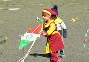 بادبادک&zwnj;ها در شیراز به پرواز درآمدند