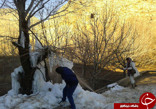 زیبایی&zwnj;های بهشت لرستان در فصل زمستان /قندیل هاو آبشار&zwnj;های یخی جاذبه ای بی نظیر برای طبیعت دوستان +تصاویر