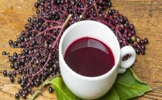 تاثیر معجزه&zwnj;آسای آقطی سیاه در بهبود بیماری&zwnj;های تنفسی