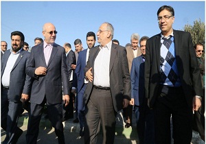 نوسانات قیمت ارز در کشور را باید مدیریت کرد