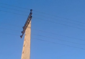 ترس و نگرانی از بابت تیر برق! + فیلم