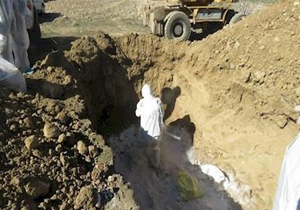 معدوم سازی پرندگان آلوده به آنفلوانزای فوق حاد پرندگان در یاسوج