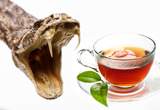 کافه ای عجیب در ژاپن/بفرمائید چای در جوار افعی!+فیلم