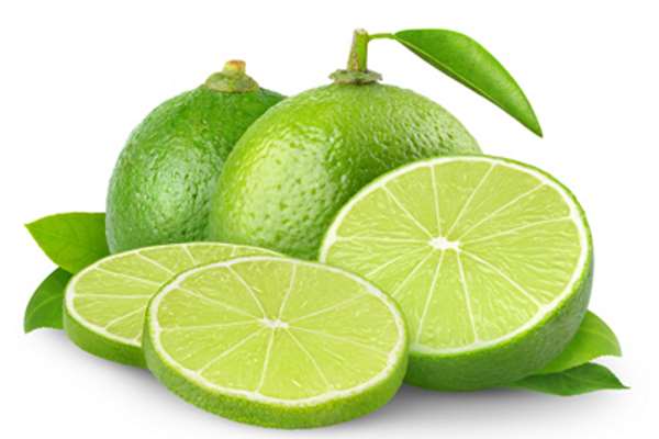 4رقم لیمو ترش مقاوم به آفت جاروک معرفی شد