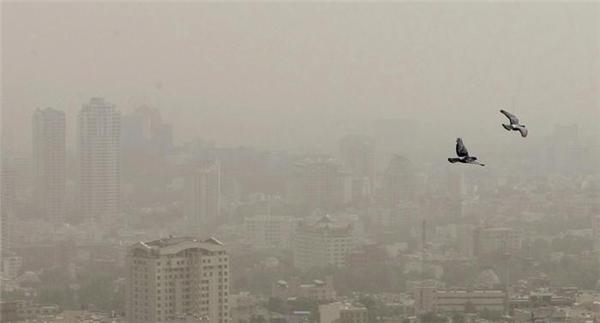 ناسالم بودن هوای اهواز