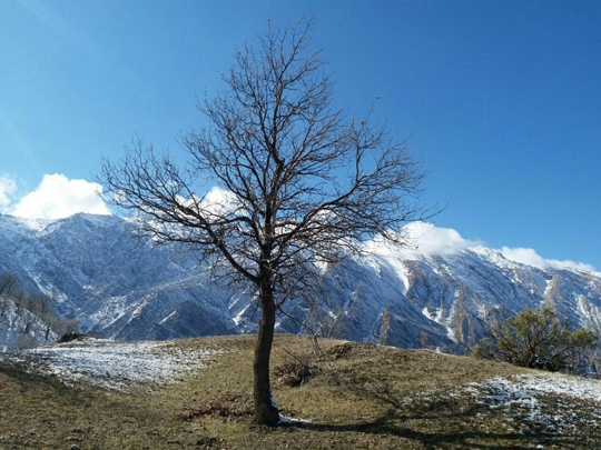 تصویر زمستانی از منطقه جنگلی و حفاظت شده هلن