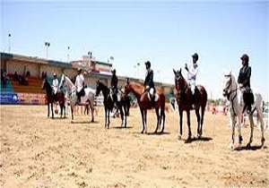 مسابقات اسب‌دوانی جام فجر در قم برگزار شد