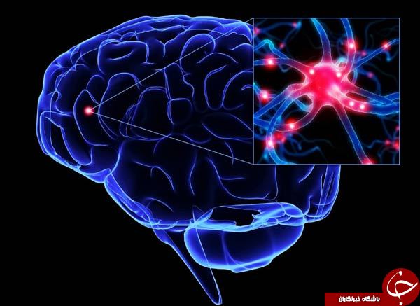دانستن این راز&zwnj;های خارق&zwnj;العاده از مغز شما را شگفت زده می&zwnj;کند