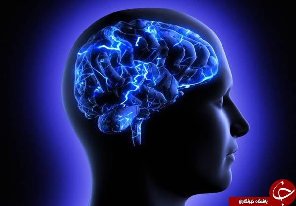 دانستن این راز&zwnj;های خارق&zwnj;العاده از مغز شما را شگفت زده می&zwnj;کند