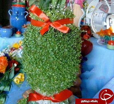 کاشت انواع سبزه برای عید نوروز +دستورالعمل