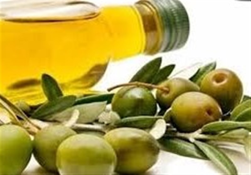طارم بر بام افتخار تولید زیتون در کشور /ظرفیتی که مغفول مانده است