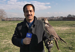 نسل جدید سیستم های حفاظتی + فیلم