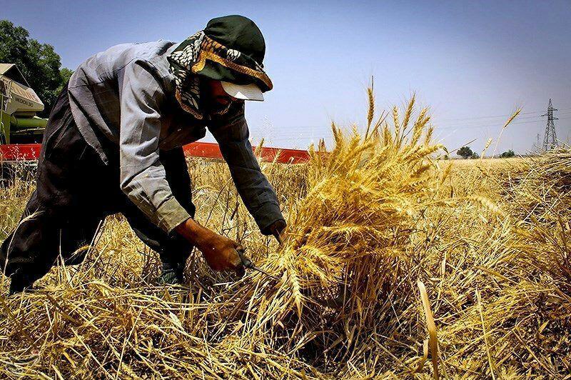 نیم نگاهی به طرح تسهیلات توسعه اشتغال روستایی در کشور
