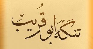 بودجه ما اندکی بیش از ۵ میلیارد بود/ روایت مهدی پاکدل از دختری ۱۶ که به تماشای «تنگه ابوقریب» رفته بود