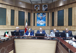 اتمام سفت کاری ۱۲ هزار واحد مسکونی روستایی مناطق زلزله زده کرمانشاه تا پایان تیر ماه
