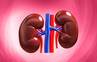 چگونه باید از کلیه ها مراقبت کرد؟