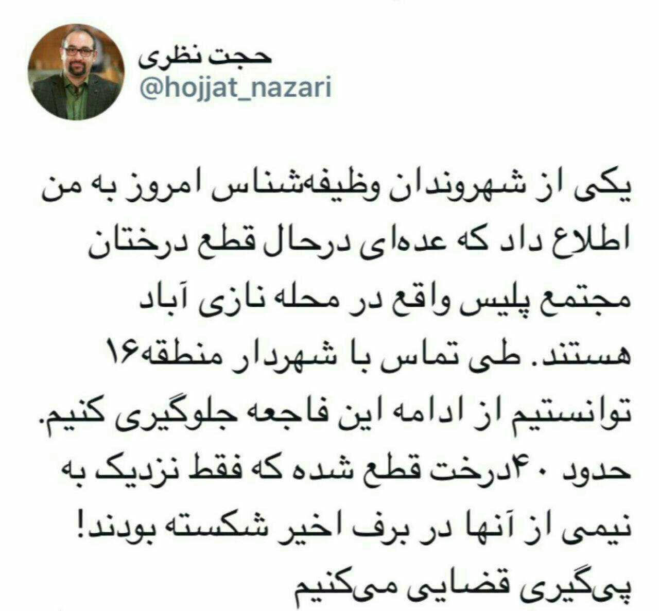 قطع درختان در مجتمع پلیس نازی آباد/ شهرداری به دنبال پیگیری قضایی