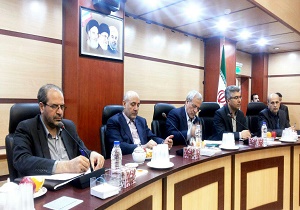 شرکت‌های دانش‌بنیان فعالیت‌های خود را در روستاها گسترش دهند