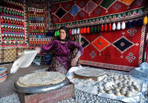 پایان عملیات اجرایی ۱۰۳ کانون اسکان عشایر در فارس
