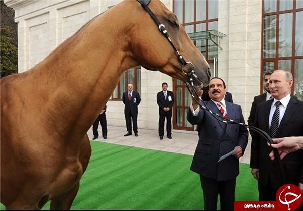 حیواناتی که ابزار دیپلماسی شدند! حیواناتی که ابزار دیپلماسی شدند!
