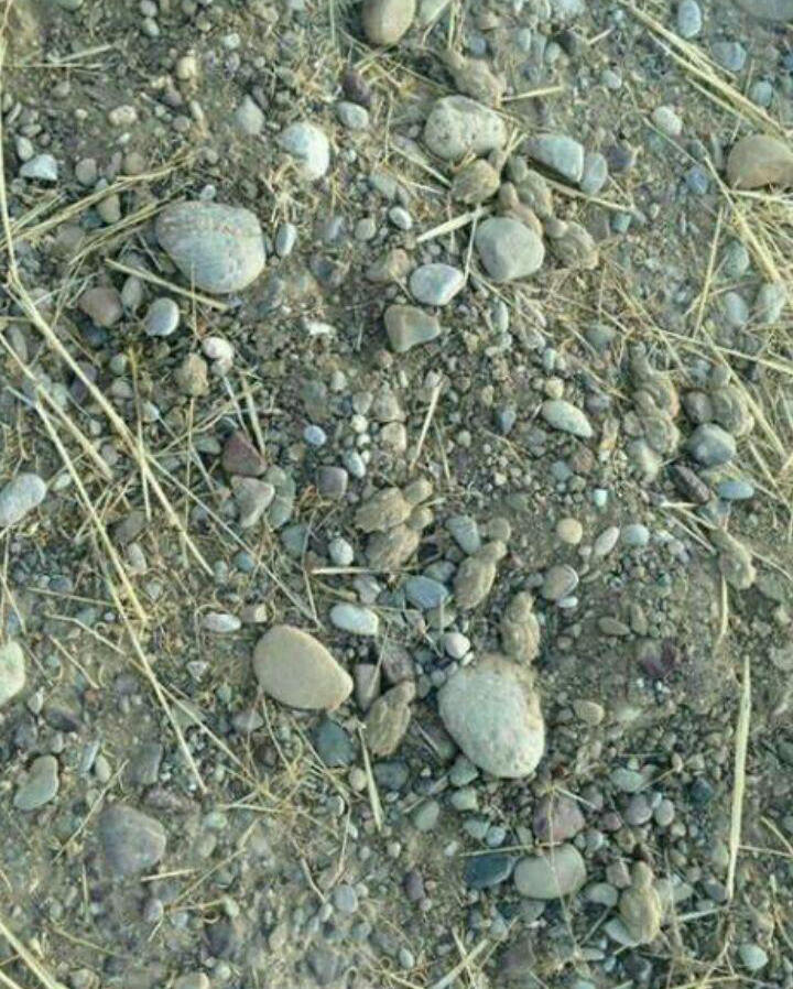 تصویری از بارش برف در روستای سرآقاسید