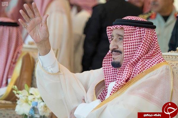 رقابت تنگاتنگ میان شترها در بزرگترین جشنواره شتر در عربستان سعودی: از جراحی پلاستیک تا پیرایش شترها! + تصاویر رقابت تنگاتنگ میان شترها در بزرگترین جشنواره شتر در عربستان سعودی: از جراحی پلاستیک تا پیرایش شترها! + تصاویر