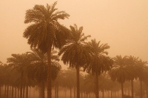 خوزستان غرق در باران خاک