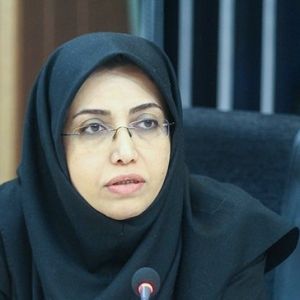 ضرورت حضور نماینده‌ای از شورای استان تهران در جلسات مدیریت بحران