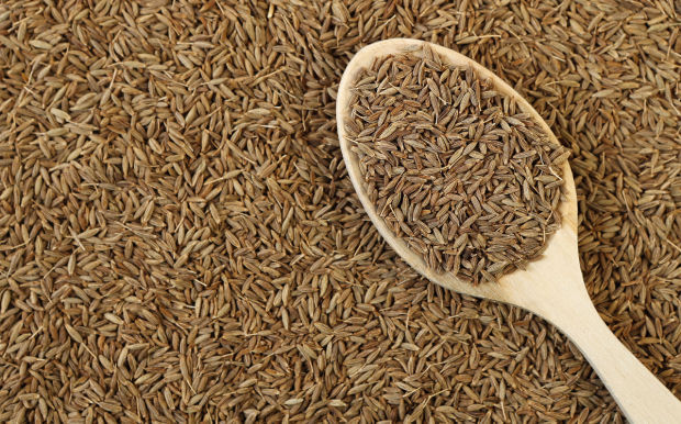 چربی سوزی دوبرابر و هزاران خاصیت ریز و درشت با این ادویه!