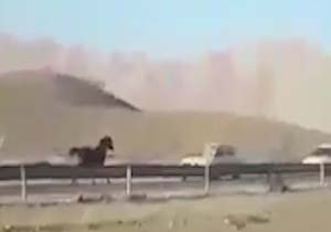 بببببببببببببببب بسته