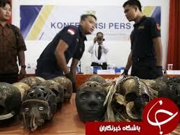 کشف یک محموله قاچاق از ۲۴ جمجمه انسان در اندونزی+ تصاویر