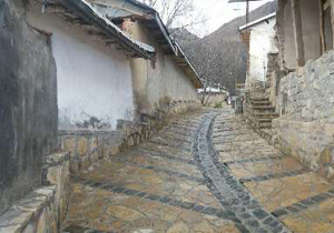 بهره برداری از طرح هادی روستای زرین درخت