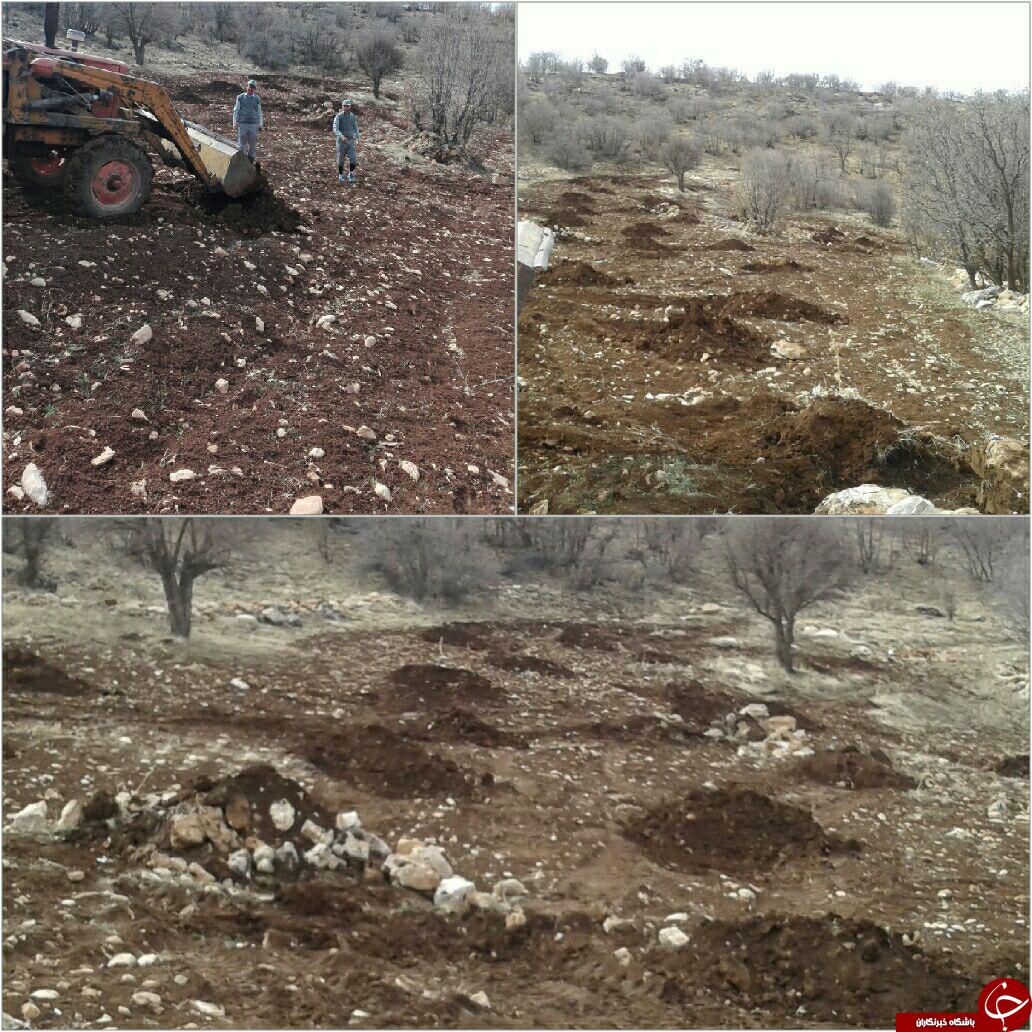 خلع ید عملی 5هزار مترمربع از اراضی جنگلی+تصویر