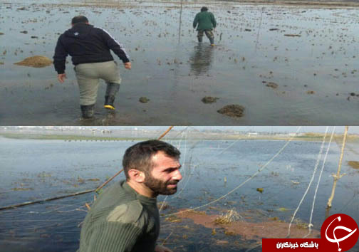 جمع آوری ۱۰۰ رشته دام هوایی در مازندران + تصاویر