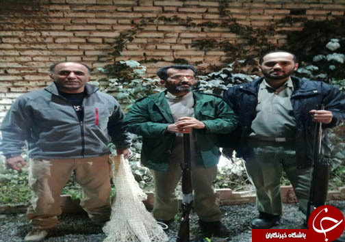 جمع آوری ۱۰۰ رشته دام هوایی در مازندران + تصاویر