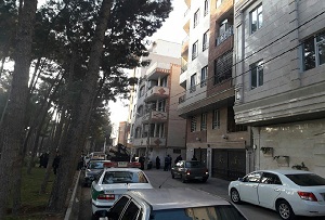 کبوترباعث مرگ یک جوان در ساوه شد