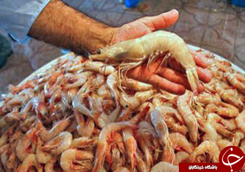 آبزی پروری راهی برای اشتغال خانگی