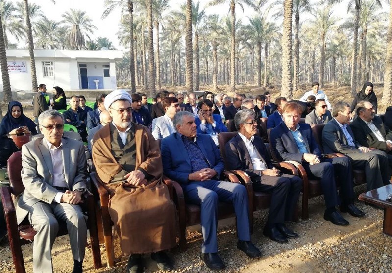 افزایش صادرات ۲۲ درصدی خرما به خارج از کشور